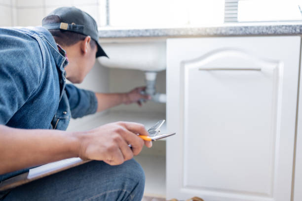 Best Plumbing Inspection Services  in Radisson, NY